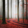 thumbnail image 2 of Meyerdierks, Carsten 12x12 Black Ornate Wood Framed with Double Matting Museum Art Print Titled - Autumnal Tracks, 2 of 4
