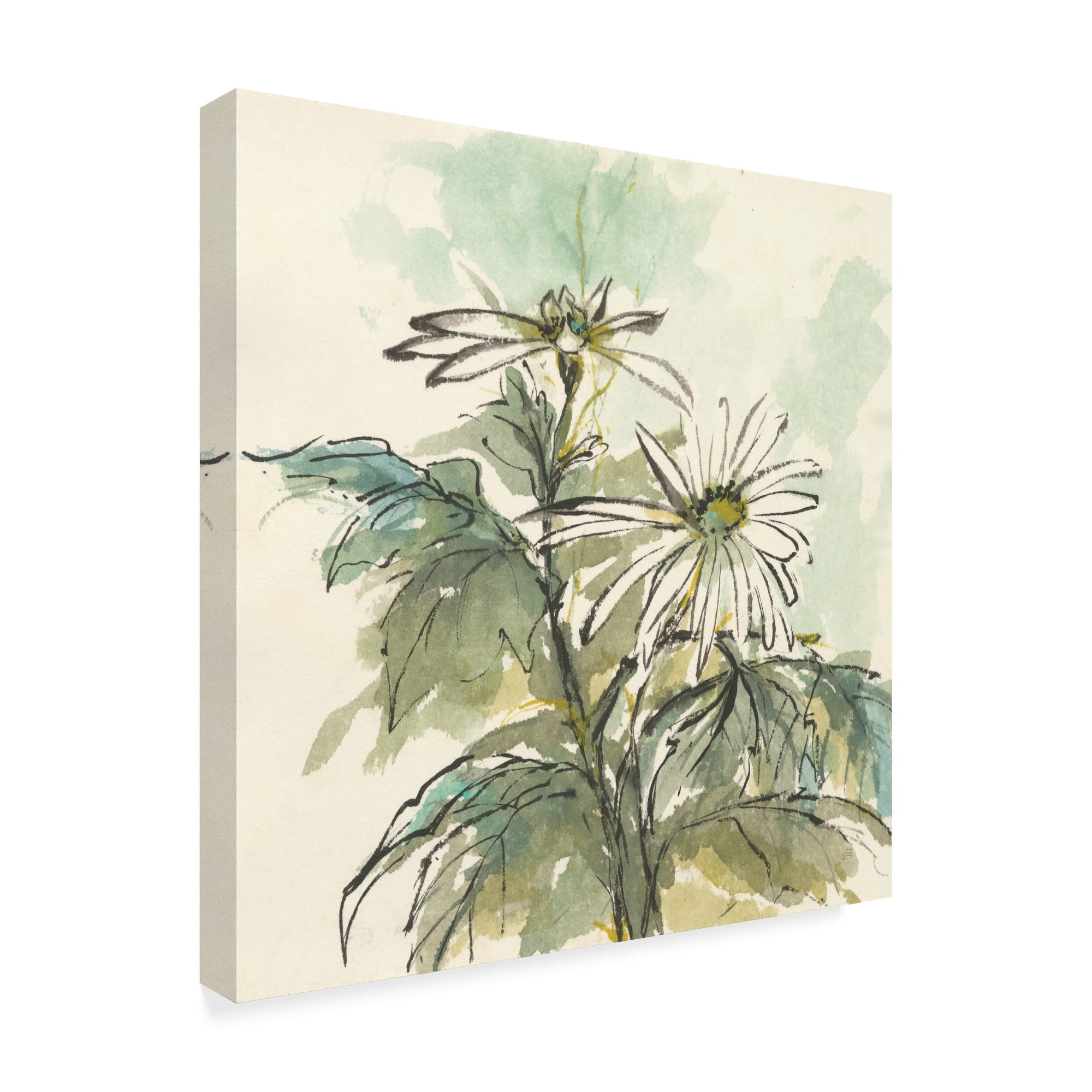 Trademark Fine Art 'Snowmum II' Canvas Art by Chris Paschke