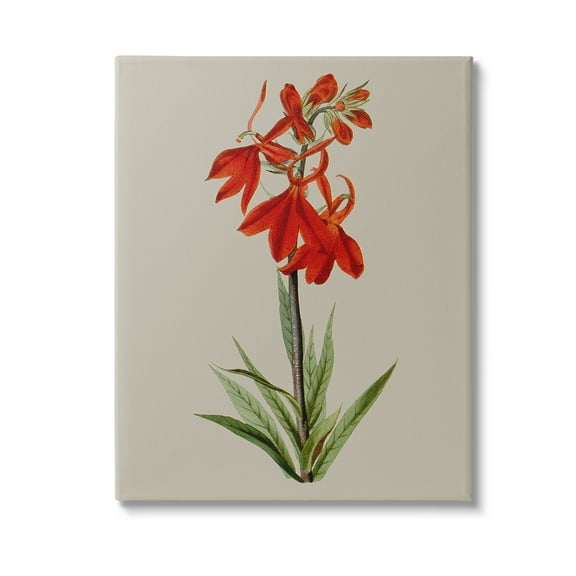 Stupell Industries Traditional Blossom Study Botanical & Floral Painting Gallery Wrapped Canvas Art Print Wall Art, 16 x 20