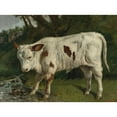 thumbnail image 3 of Gustave Courbet 24x19 Black Modern Framed Museum Art Print Titled - White Calf, 3 of 5