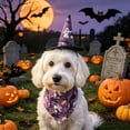thumbnail image 2 of Pet Halloween Bandana Hat Set for Cats & Dogs with Pumpkin Ghost Spiderweb Design, Soft Adjustable Fit for 23in Porch Geese, 17.7in by MPOISVA, 2 of 7