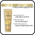 thumbnail image 6 of 4 Pack - Pantene Pro-V Gold Series Moisture Boost Conditioner 8.4 oz, 6 of 7