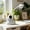 🔥 White_Hot, variant on ZYXWVU Astronaut Charging Desk Lamp Creative Student LED Reading Eye Protection Bedroom USB Night Light Bedside Table Lamp for Kids