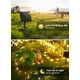 thumbnail image 2 of Guirnalda de luces solares Brightown, 22 m, 200 LED, 8 modos, resistente al agua, 2 of 6