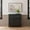 Black Frame/Gold Hardware, variant on Martha Stewart Fluted Modular 3-Drawer Wooden Storage Media Cabinet with Gunmetal Hardware, Solid Wood Frame and Legs, Fern Green