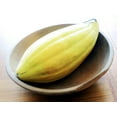 thumbnail image 3 of TomorrowSeeds - Banana Cantaloupe Seeds - 150+ Count - For 2025 Planting Cucumis Melo Heirloom, 3 of 11