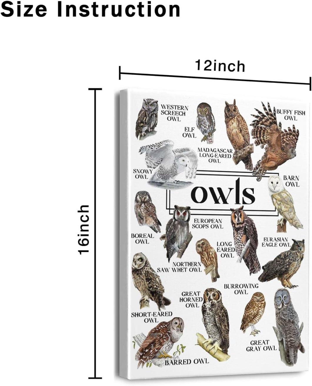 Owls Wall Art Owl Decor for Living Room Home
