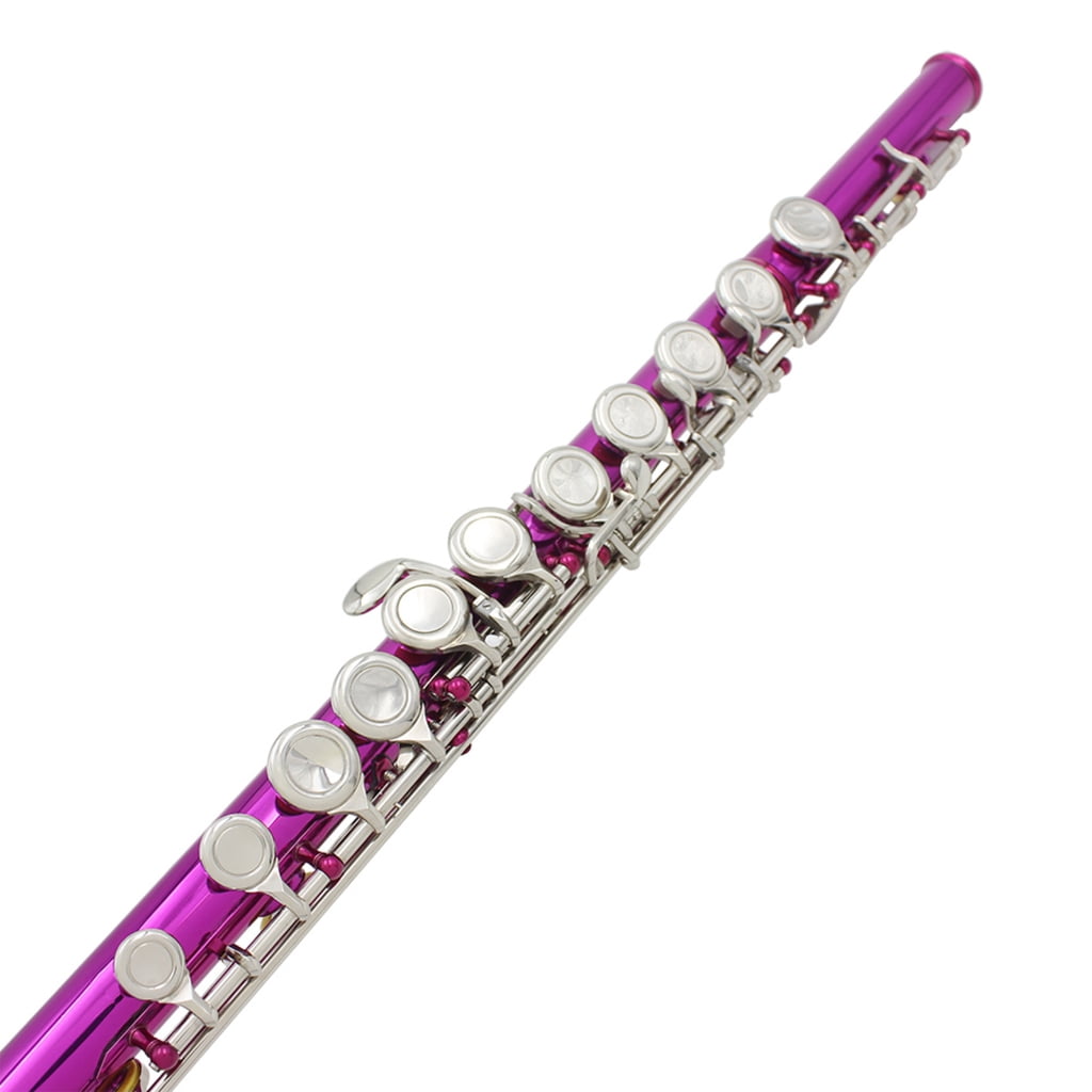 Professional Horizontal Flute With Bag Cloth Stick 16 Hole C Tone Closed Hole Flute Woodwind Instrument