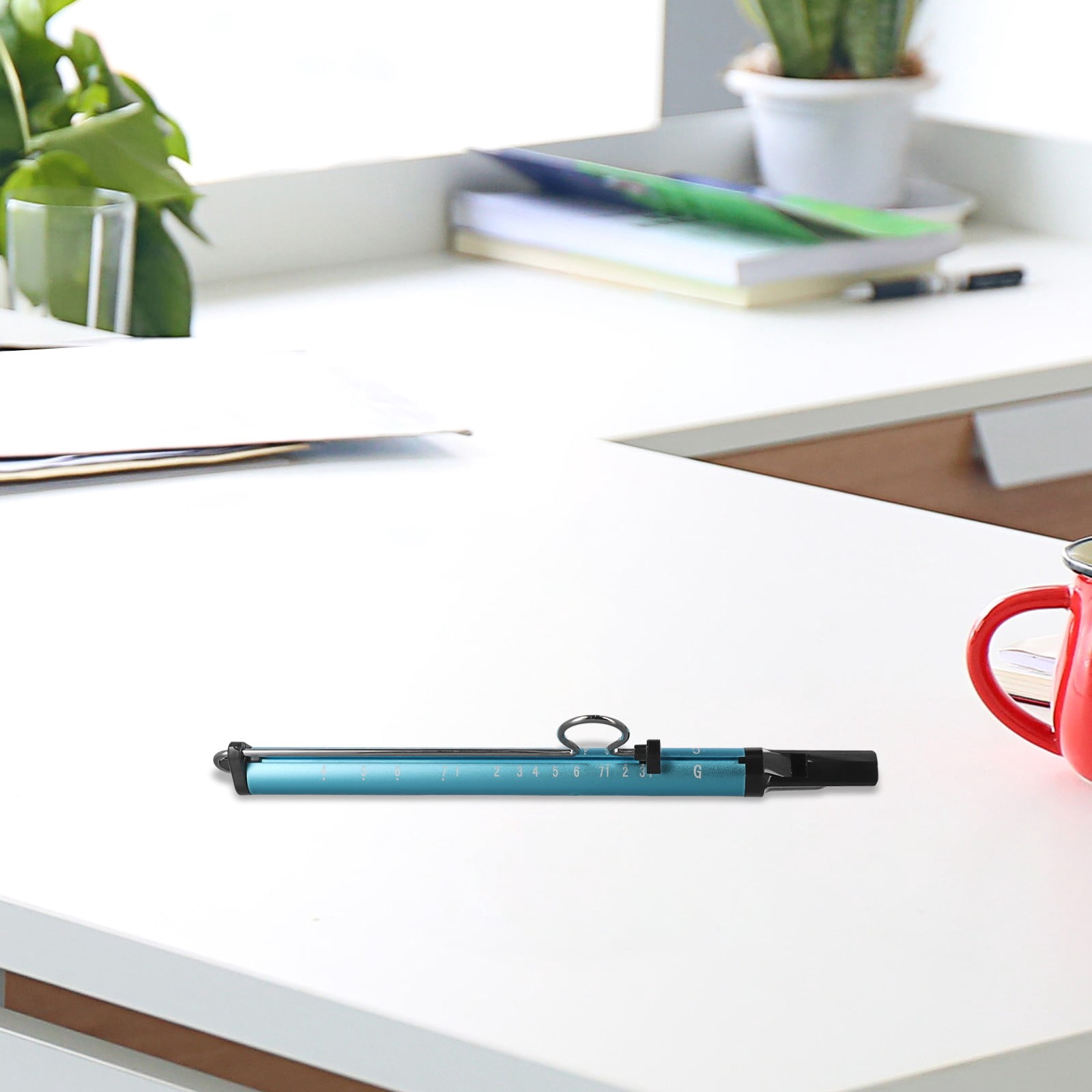 Distinctive Slide Whistle Flute Add a Unique Sound to Your Musical Performances