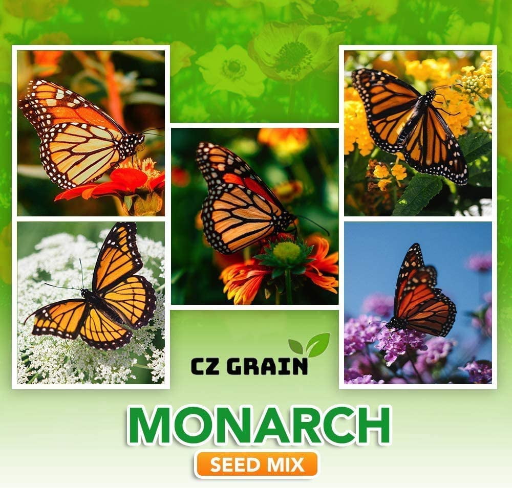 Monarch Butterfly Garden Seed Kit Annual and Perrenial Wildflowers and Milweed Seeds