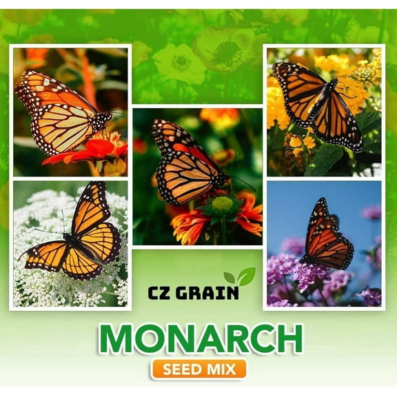 Monarch Butterfly Garden Seed Kit - Annual and Perrenial Wildflowers and Milweed Seeds