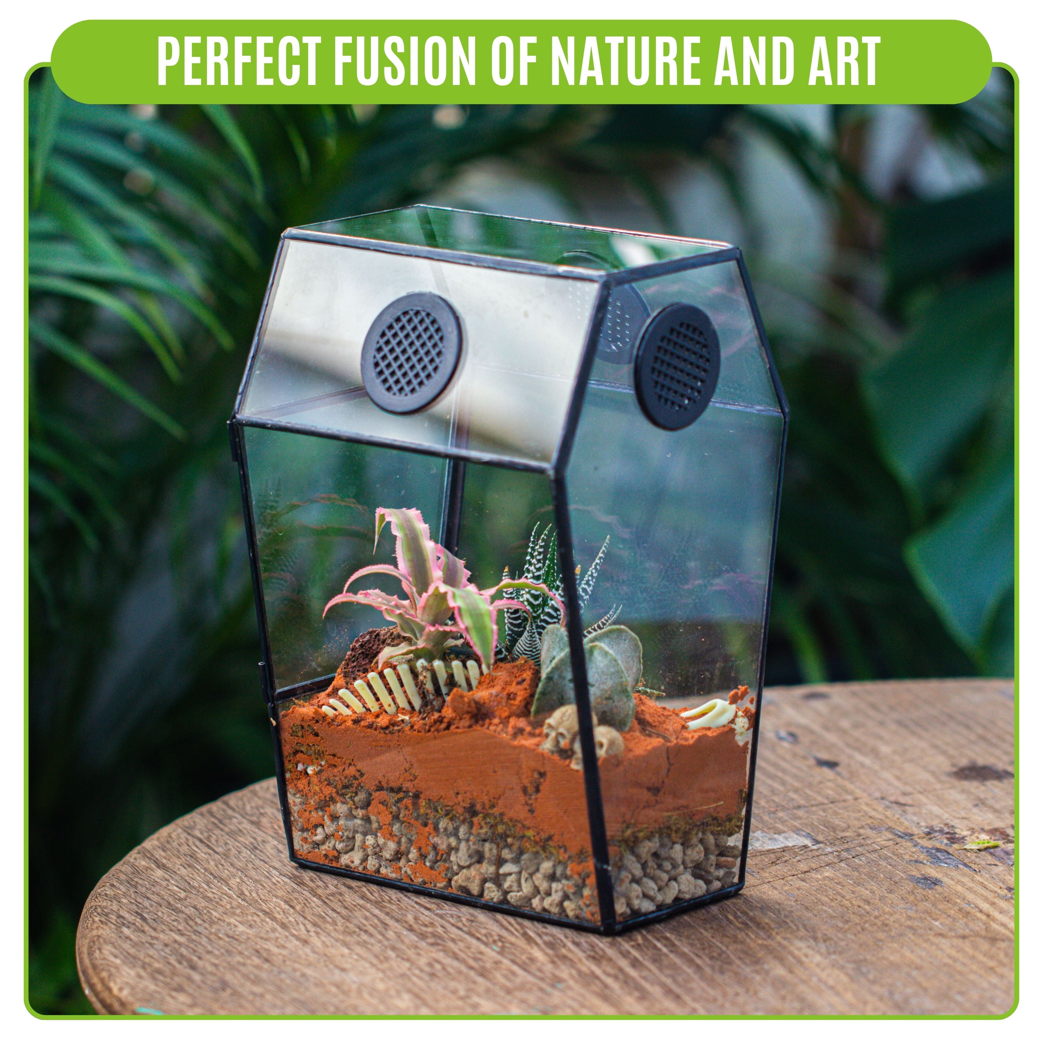 NCYP Gothic Glass Enclosure for Jumping Spider, Snails, Insects - Front Opening Door Geometric Cactus Plants Terrarium with Vent Holes, Indoor Tabletop Coffin Shape Decor, Black (Terrarium Only)