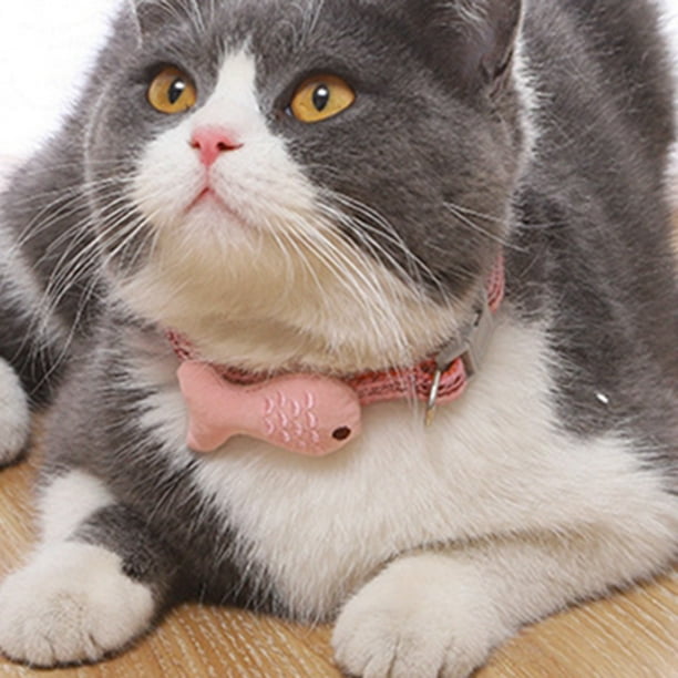 Buy Cool Cat Collar chemistry Adjustable Cat Collar Online in India 