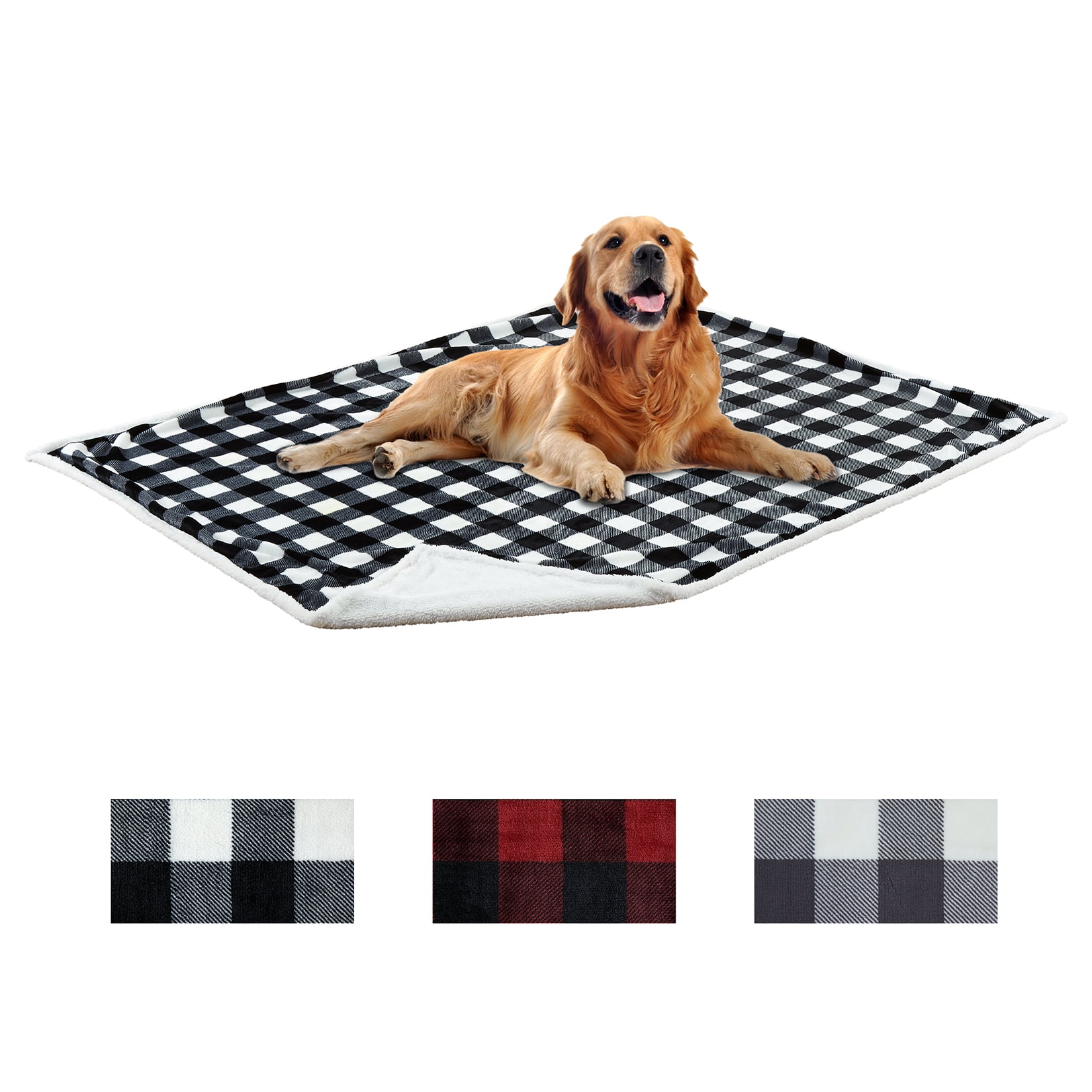 Why Does My Puppy Pee On His Blanket