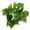 7, variant on Clear Texture Artificial Leaf Fadeless Plastic Floral Arrangement Simulation Plant Home Decor