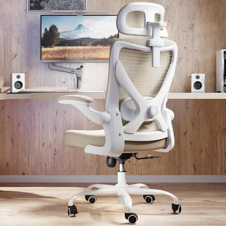 ergonomic office chair - mesh product