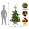thumbnail image 3 of National Tree Company 7.5 ft. Norwegian Spruce Tree with Clear Lights, 3 of 6