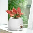 thumbnail image 2 of Smily Face Planter Pot with Coffee Cup Cute Resin Flower Head Planters for Indoor Outdoor Unique Sit Succulent Pots with Drainage Hole Gift IdeaI for Mother Christmas (White), 2 of 7