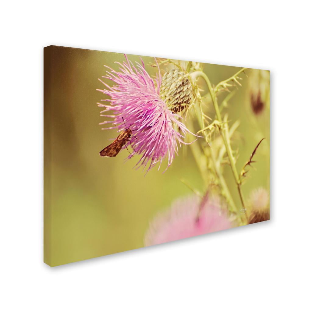 Trademark Fine Art "Skipper On Pink Thistle" Canvas Art by Lois Bryan