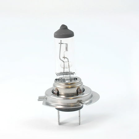 Halogen Automotive Bulb - BulbAmerica H7 - 55W 12V Halogen Xenon Clear Automotive Bulb