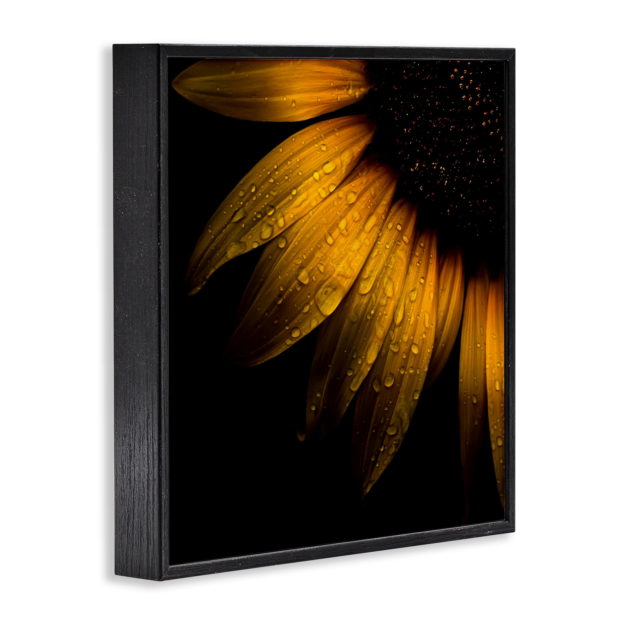 Sunflower Detail with Droplets Black Framed Giclee Art, design by Brian Carson Photography
