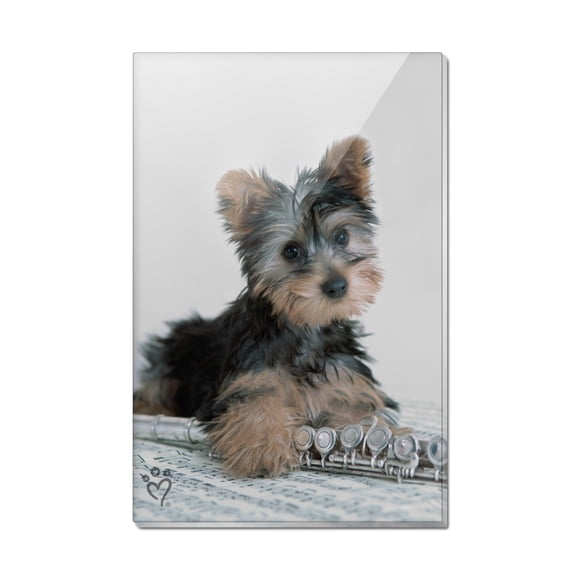 Yorkie Yorkshire Terrier Puppy Dog Musical Instrument Rectangle Acrylic Fridge Refrigerator Magnet