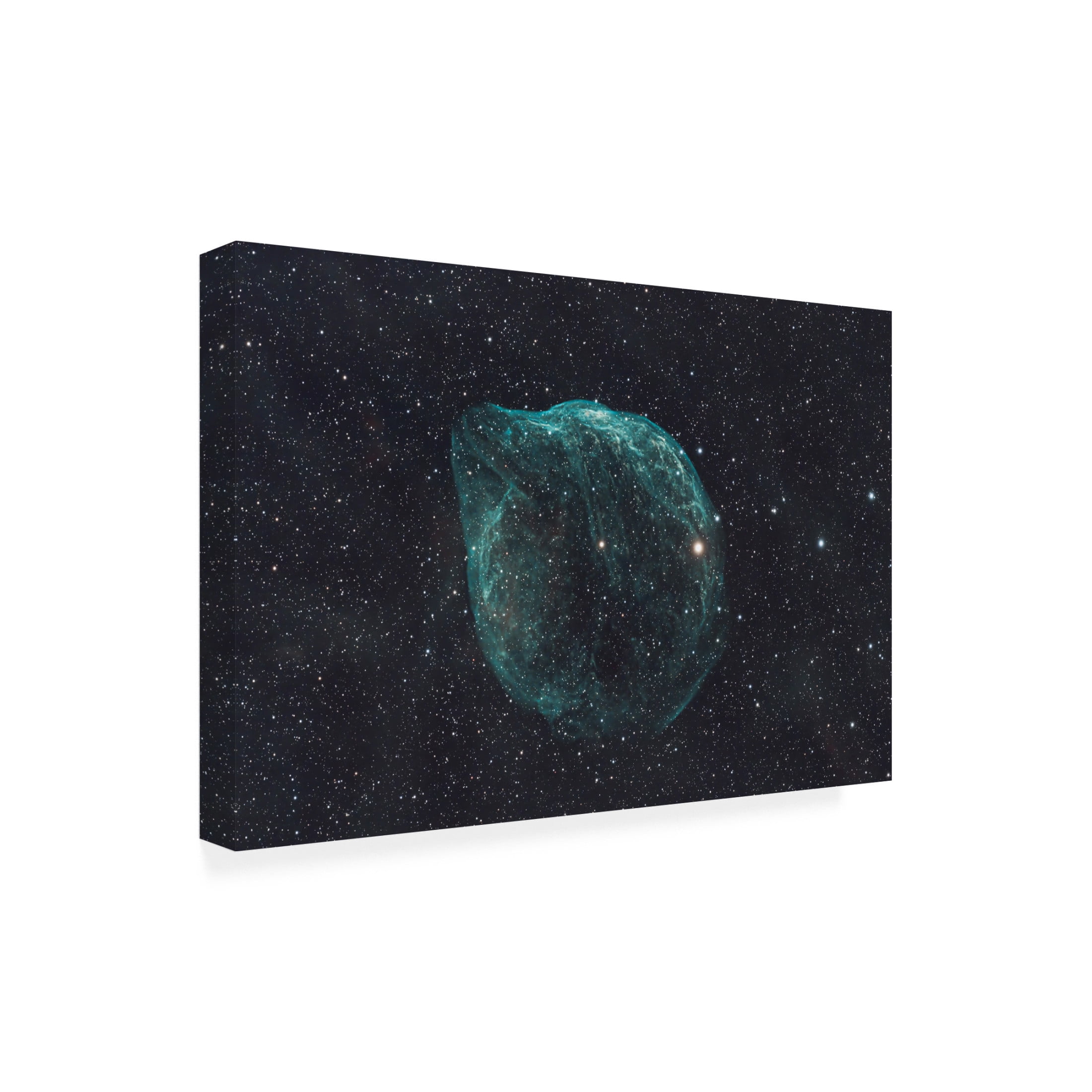Trademark Fine Art James Zhen Yu DOLPHIN NEBULA SHARPLESS 2 308 Canvas Wall Art