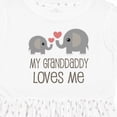 thumbnail image 4 of Inktastic Grandaddy Loves Me Elephant Girls Toddler Dress, 4 of 5