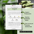 thumbnail image 2 of Sow Right Seeds Grey Zucchini Plant Seeds, Non-GMO, 2 of 5