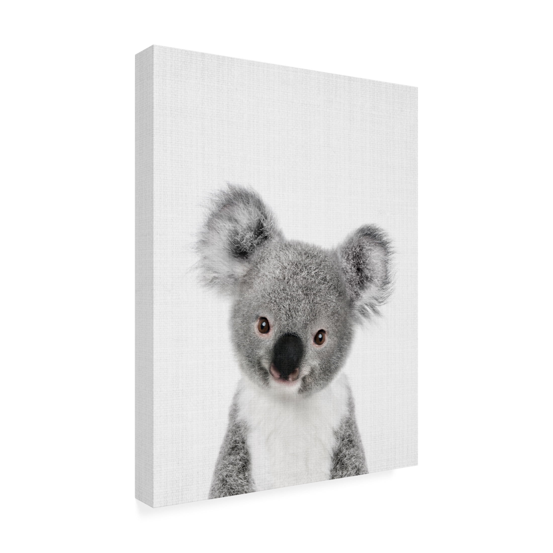 Trademark Fine Art Lola Peacock Peekaboo Baby Koala Canvas Wall Art