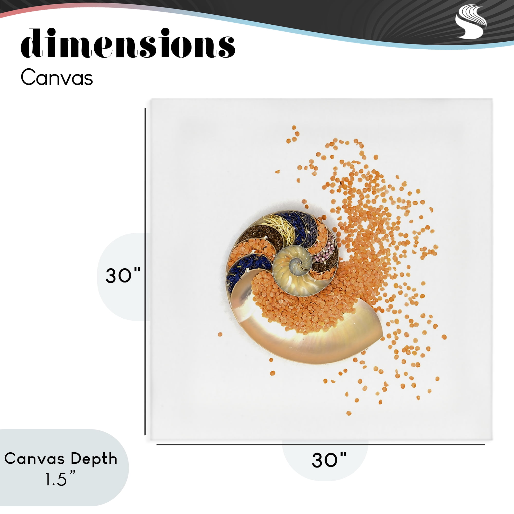 Stupell Industries Orange Nautilus Spiral Canvas Wall Art, design by Beth Adoette
