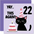 thumbnail image 1 of Tarjeta de felicitación Stuff4 22.º cumpleaños cuadrada de 14,5 cm, 1 of 7