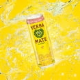 thumbnail image 5 of Guayakí Yerba Mate, Organic Sparkling Energy Drink Alternative, Grapefruit Ginger, 80mg Natural Plant Based Caffeine, Smooth Energy & Focus, Carbonated, 12 Oz (Pack of 12), 5 of 5