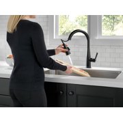 Delta 9113T-BL-DST Essa Single Handle Pull-Down Kitchen Faucet with Touch2O in Matte Black
