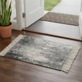 thumbnail image 2 of Area Rug with Tassels 2' x 3', Retro Gray Shabby Texture Kitchen Runner Rug for Hallway Bedroom Throw Rugs, Vintage Farm Abstract Art Soft Door Mat for Bathroom Entrance Living Room, 2 of 9