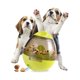 thumbnail image 1 of Bola de comida para perros, dispensador de comida pequeño, juguete interactivo de alimentación lenta para cachorros y gatos, verde amarillento, 1 of 5