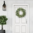thumbnail image 5 of Puleo International 30 in. Artificial Eucalyptus Spring Wreath with Creeping Jenny Leaves, 5 of 5