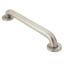 Moen Stainless Steel Secure mount Shower Grab Bar, Gray, 24"