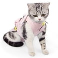 thumbnail image 1 of Traje de esterilización/castración para gatos con estampado de mascotas, traje postoperatorio de destete, traje de recuperación para madre y gato, 1 Uds., 1 of 5