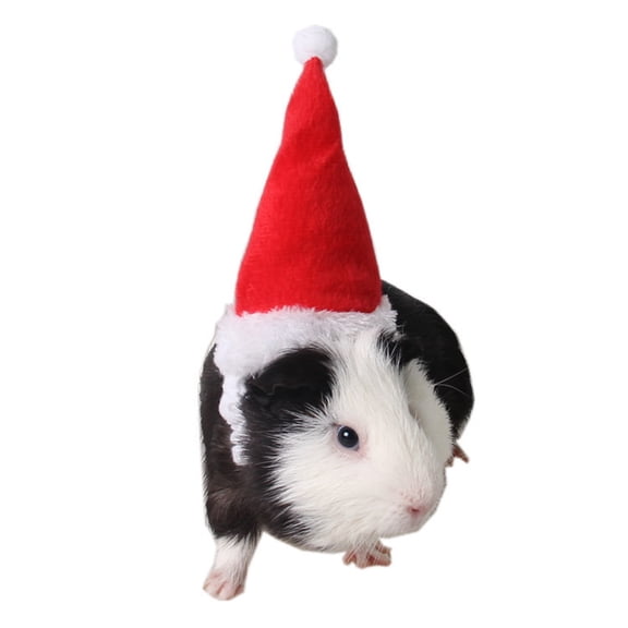 Red Flannel Groundhog Pet Hat with Adjustable Strap, Cute Christmas Holiday Small Headwear for Small Pets