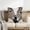 C, variant on Uutvery Cotton Linen Horse Pillow Cover 17.71×17.71 Inch, Sofa Cushion Case Decorative Throw, Living Room Office Bedroom Accent, Soft Comfortable Decor