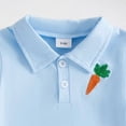 thumbnail image 4 of Kaprioy My First Easter Baby Boy Outfit Boys Eeaster Outfit Kids Boys 2 Piece Easter Short Sleeve Turn Down Collar Carrot Embroidery Plaid Tops and Shorts Set, 4 of 6
