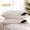 white Pillows, variant on No No Bed Pillows Adult Hypoallergenic Standard Polyester, Soft, 2 Pack