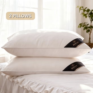 Supreme Living PC41681 Bamboo Pillow - Standard Size - Walmart.com
