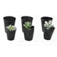 thumbnail image 2 of 500pcs Nursery Pot Plastic Plant Propagation Container Grow Bag Garden Supplies 8cmx8cm, 2 of 5