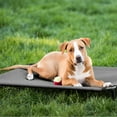 thumbnail image 5 of Veehoo Cooling Elevated Dog Bed, Portable Raised Pet Cot with Washable Mesh, Small, Silver Grey, 5 of 9