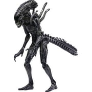 AVP Alien vs. Predator Requiem Alien Queen Action Figure