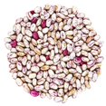 thumbnail image 5 of Organic Cranberry Beans, 3 Pounds — Non-GMO, Sproutable, Kosher, Raw, Vegan — by Food to Live, 5 of 7