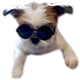 thumbnail image 5 of Gafas de sol para perros de razas pequeñas hasta 7 kg (paquete de 2), 5 of 7