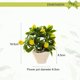 thumbnail image 2 of Bonsái de frutas, flores falsas, decoraciones artificiales creativas para el hogar, simulación de plantas verdes, 2 of 6